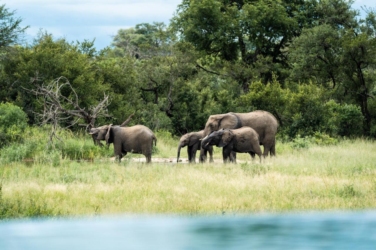 Shumbalala Game Lodge Reserva de Caça Thornybush Exterior foto